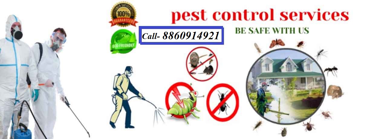 Pest Control Service greater noida